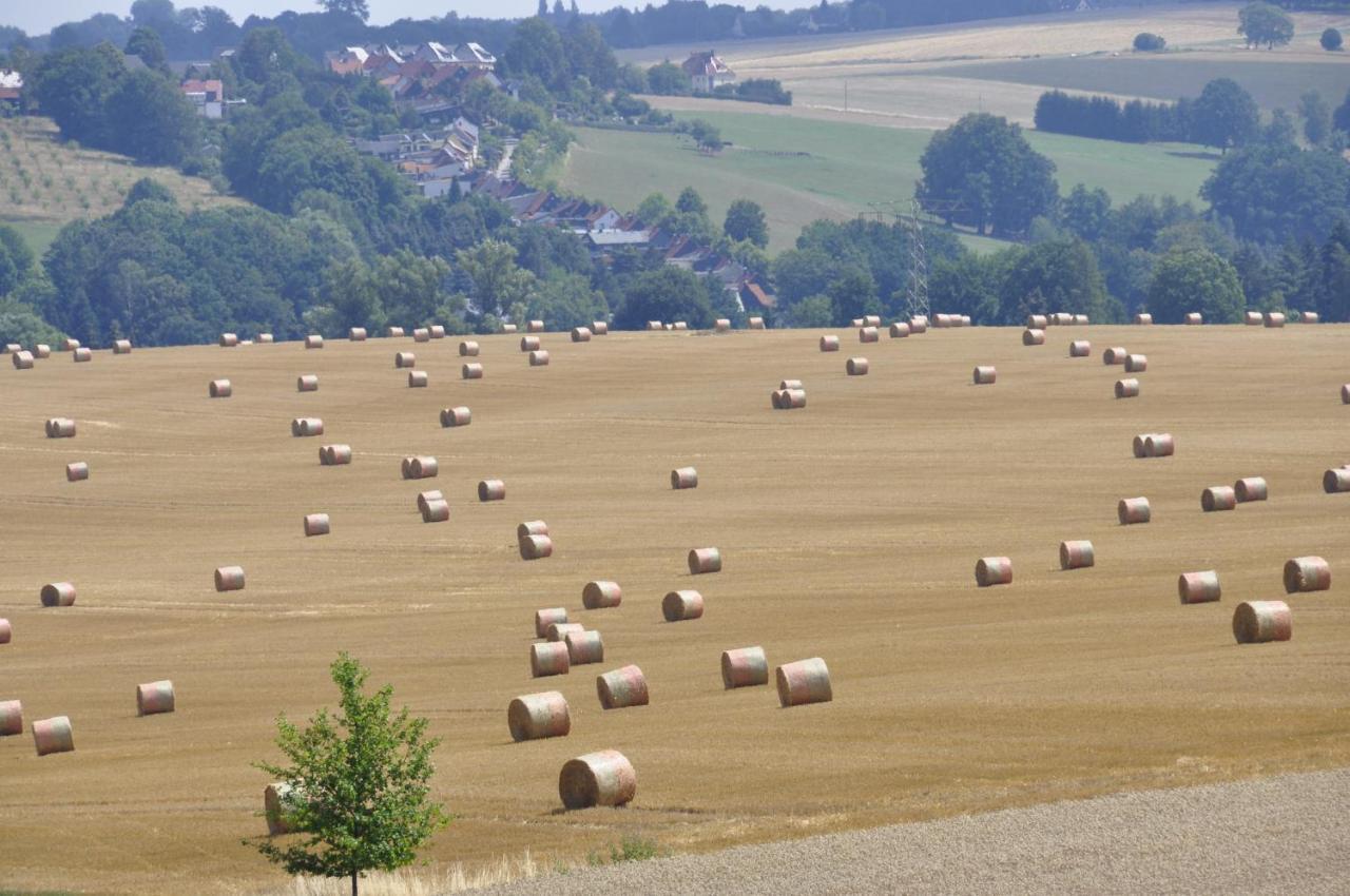 Appartamento Zum Landidyll Lugau Esterno foto