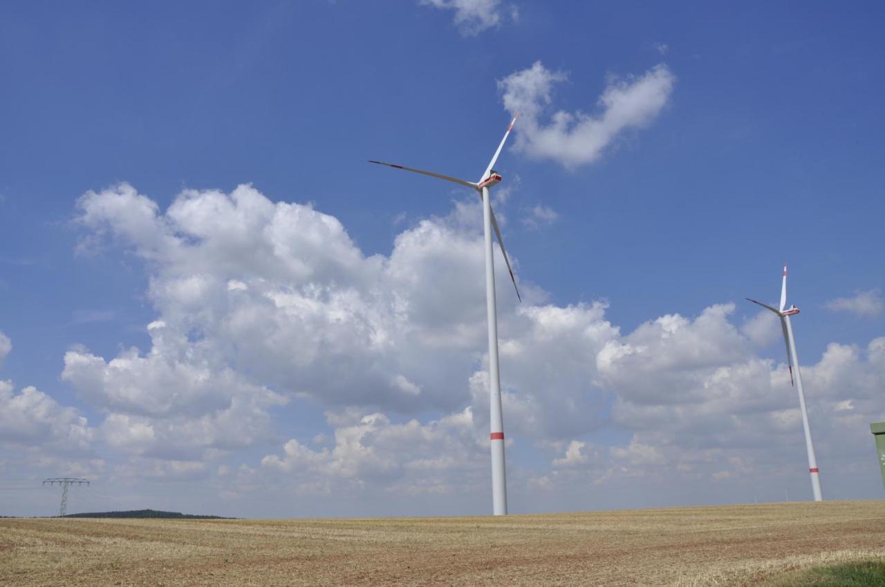 Appartamento Zum Landidyll Lugau Esterno foto